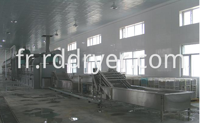 High Output Mesh Belt Drying Equipment